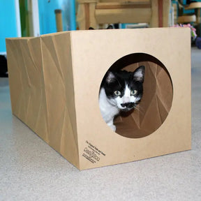 Dezi & Roo - Cat Hide & Sneak Tunnel Paper