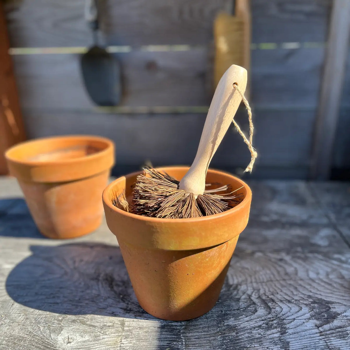 Plant Pot Cleaning Brush