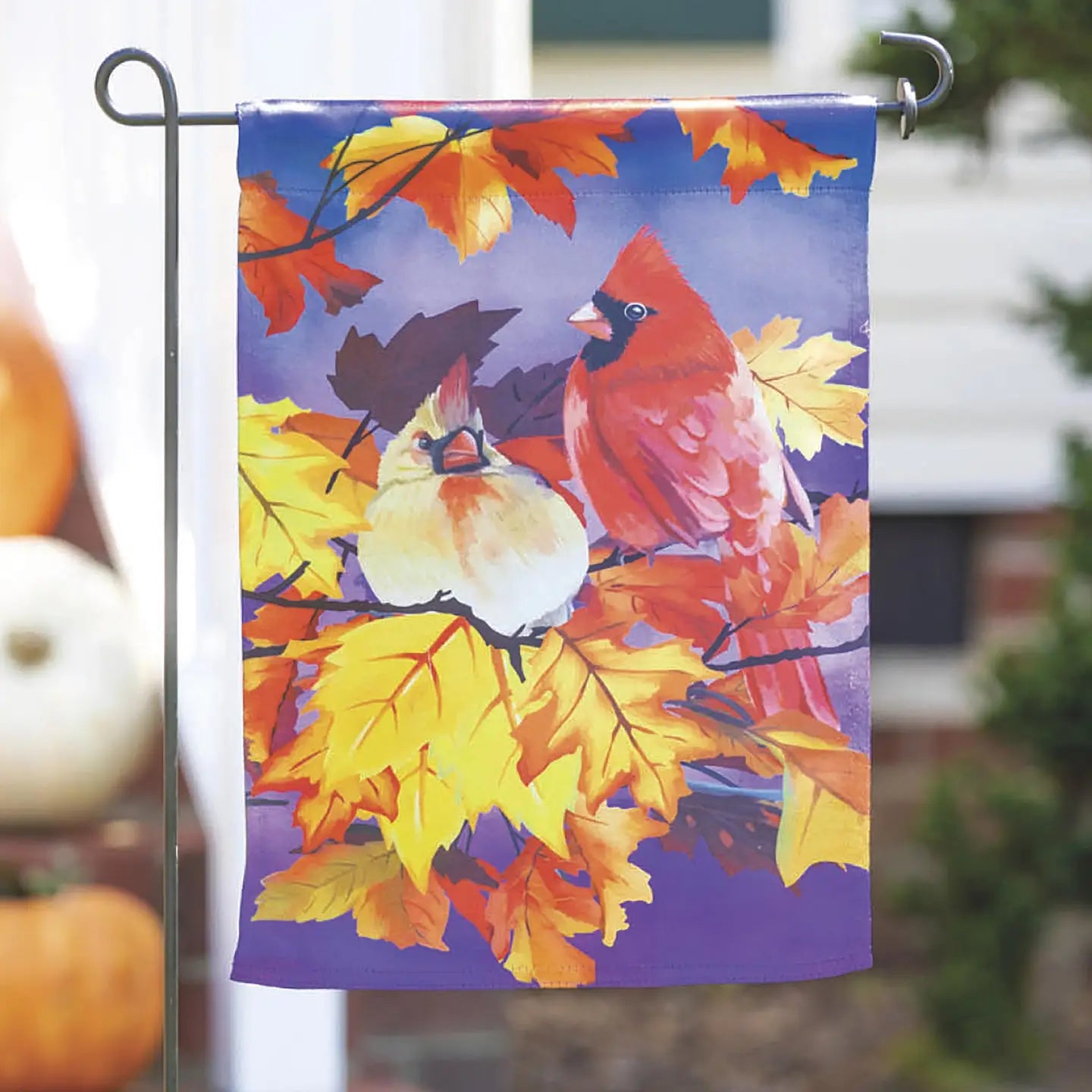 Evergreen Enterprises - Flag Cardinal Friends