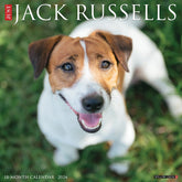 2024 Jack Russells Calendar
