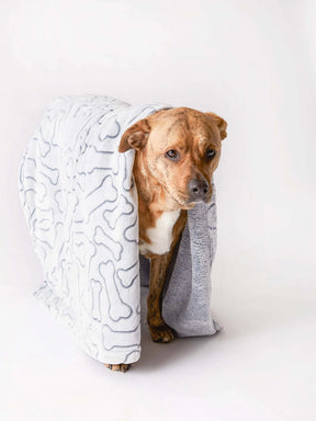 Blanket Embossed Bone Print for Pets Gray
