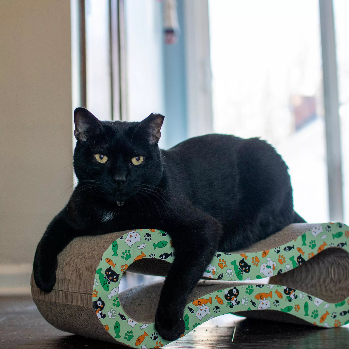 Coastal - Infinity Symbol Scratcher With Comical Cats, Fish & Pawprints