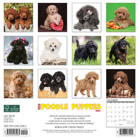 2024 Poodle Puppies Calendar