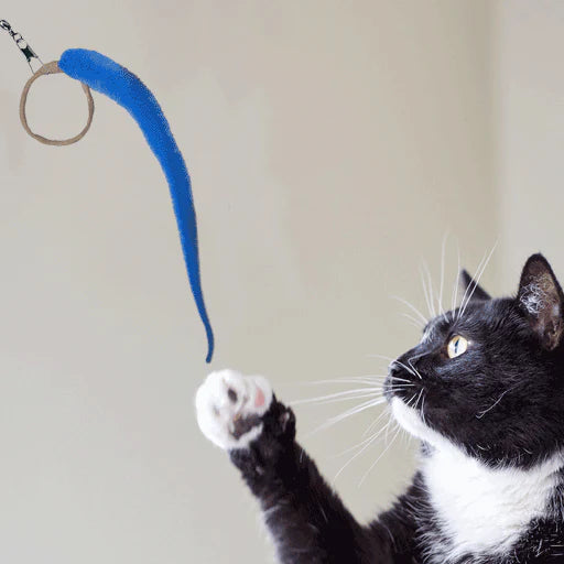 Dezi & Roo - Cat Toy A-Lure-Ring