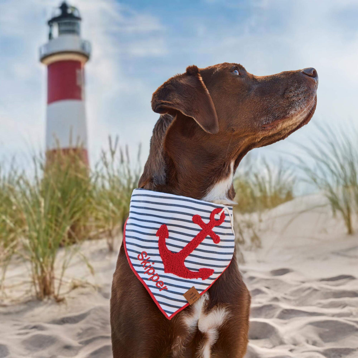 The Foggy Dog - Bandana Dog Anchor Away Applique