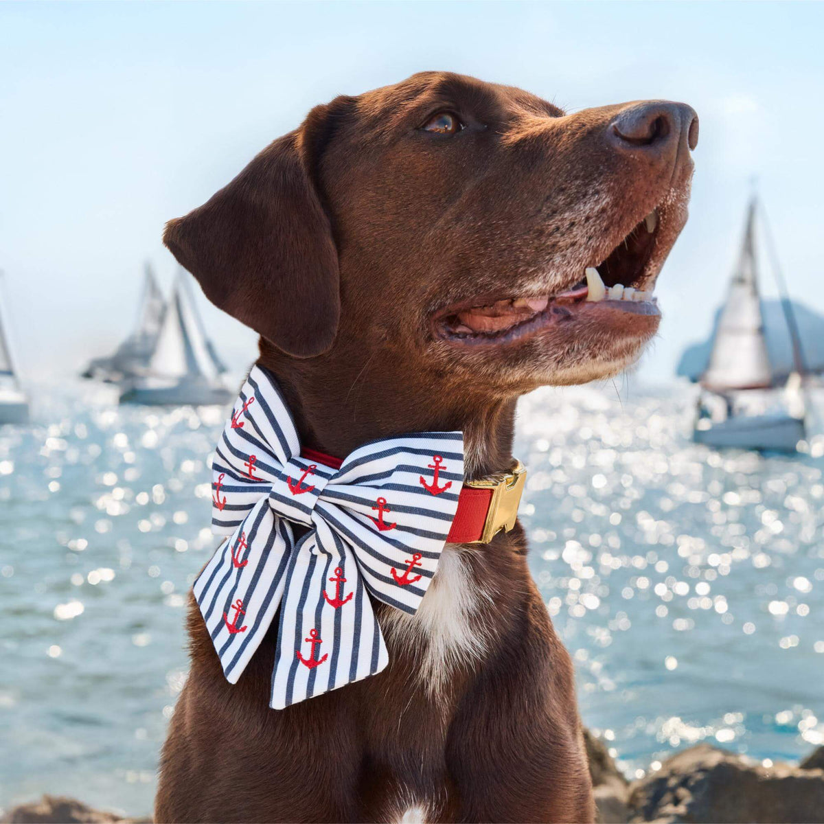 The Foggy Dog - Bow Tie Lady Anchor Embroidered