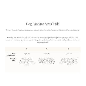 Foggy Dog - Patchwork Quilt Summer Dog Collar