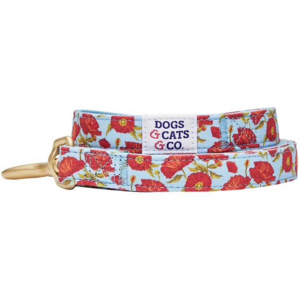 Blueberry Pet Dog Leash - A Scent of Spring Poppy Flower Turquoise