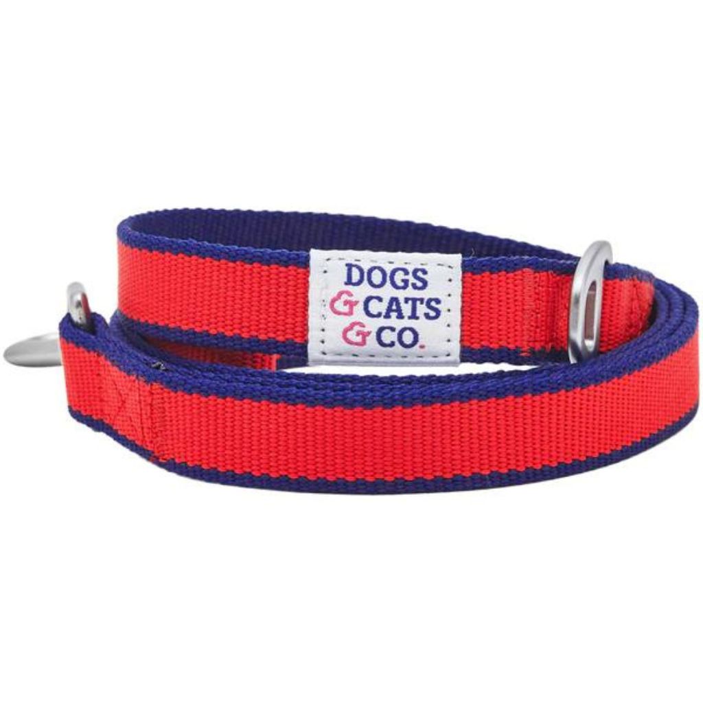 Blueberry Pet Dog Leash - Contrast Stripe Red/Navy