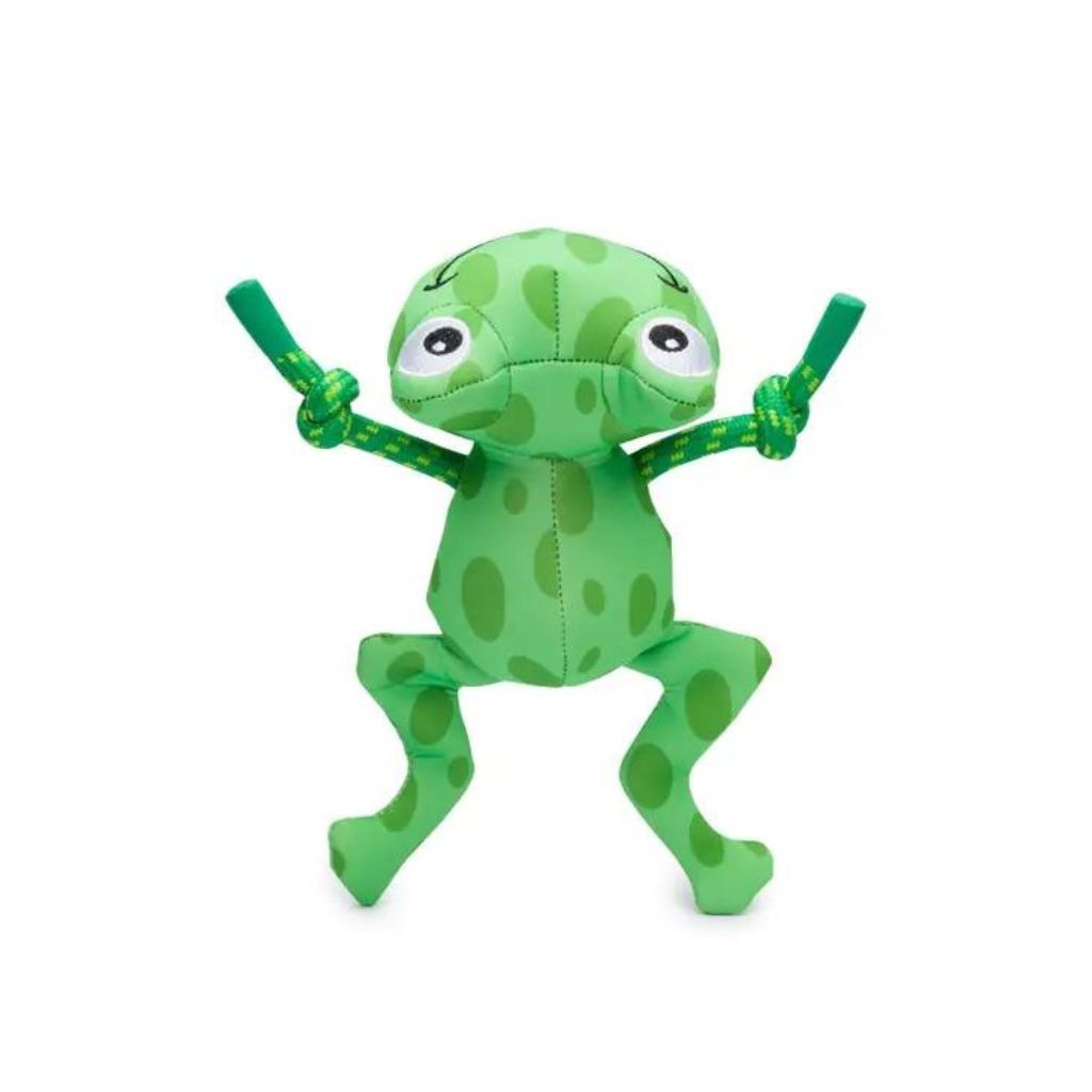 Fab Dog - Floatie Frog