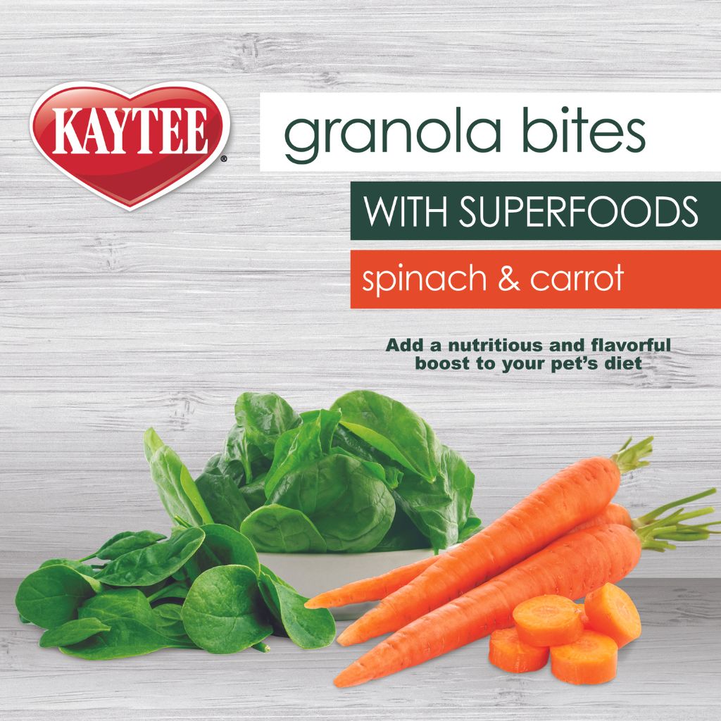 Kaytee - Granola Bites Spinach & Carrot w/ Superfood