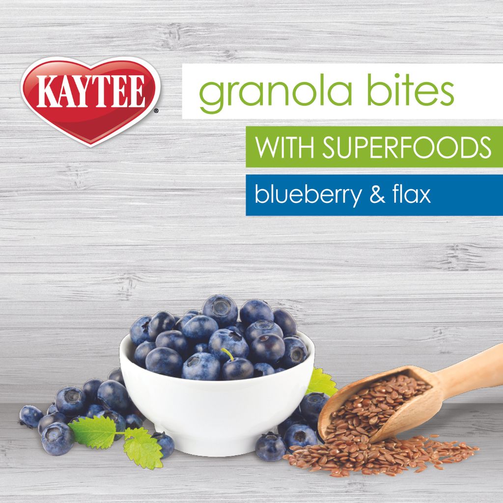 Kaytee - Granola Bites Blueberry & Flax w/ Superfoods
