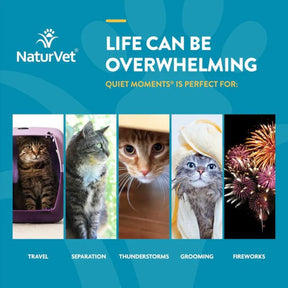 NaturVet - Scoopables Quiet Moments Calming Aid + Melatonin for Cats