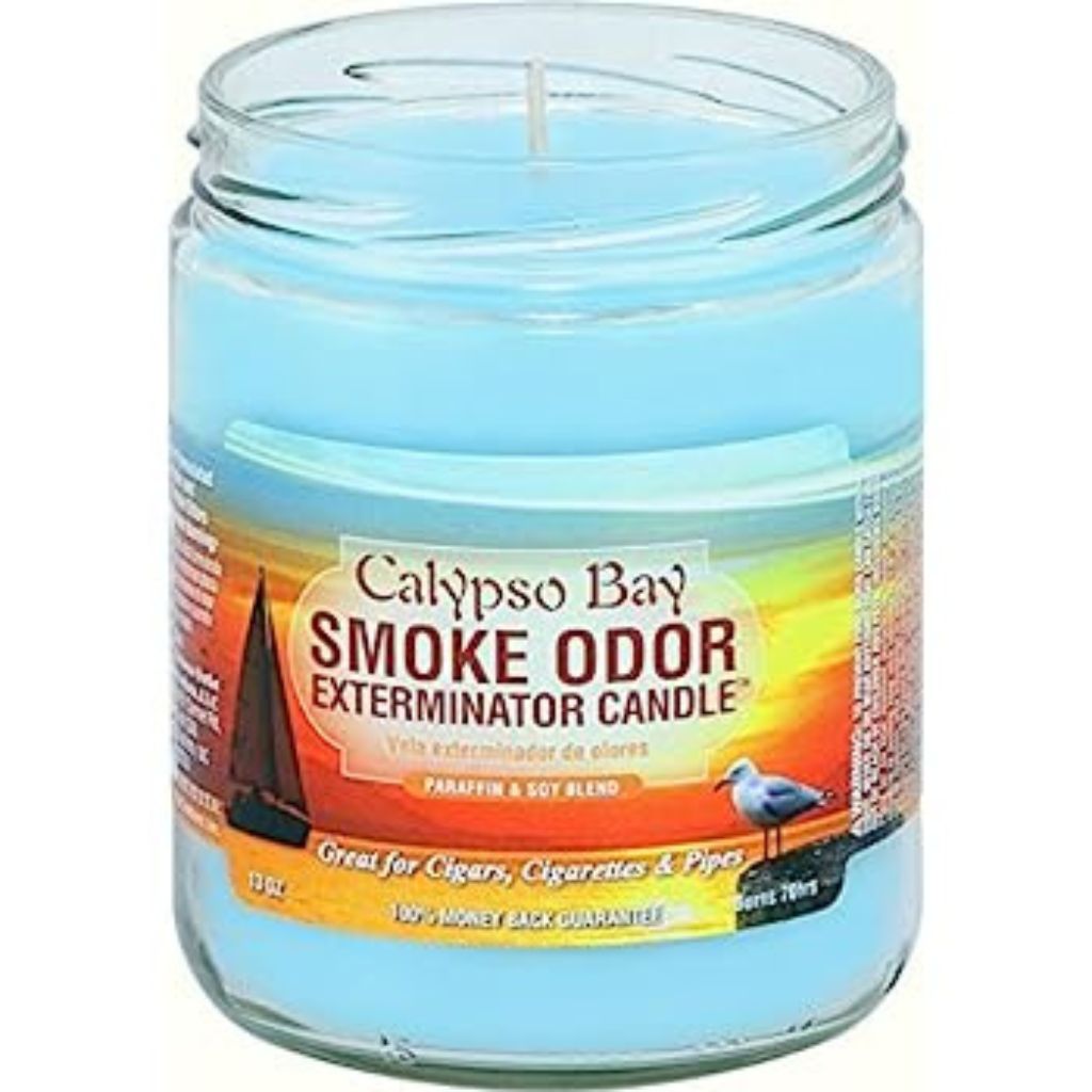 Pet Odor Exterminator Calypso Bay Candle