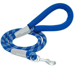 Blueberry Pet Neoprene Handle Rope Leash Diagonal Stripe
