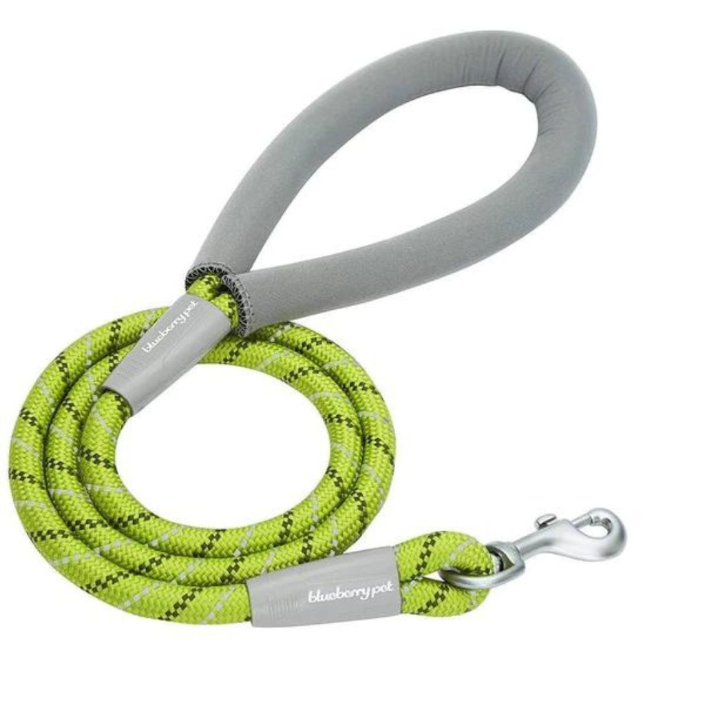 Blueberry Pet Neoprene Handle Rope Leash Diagonal Stripe