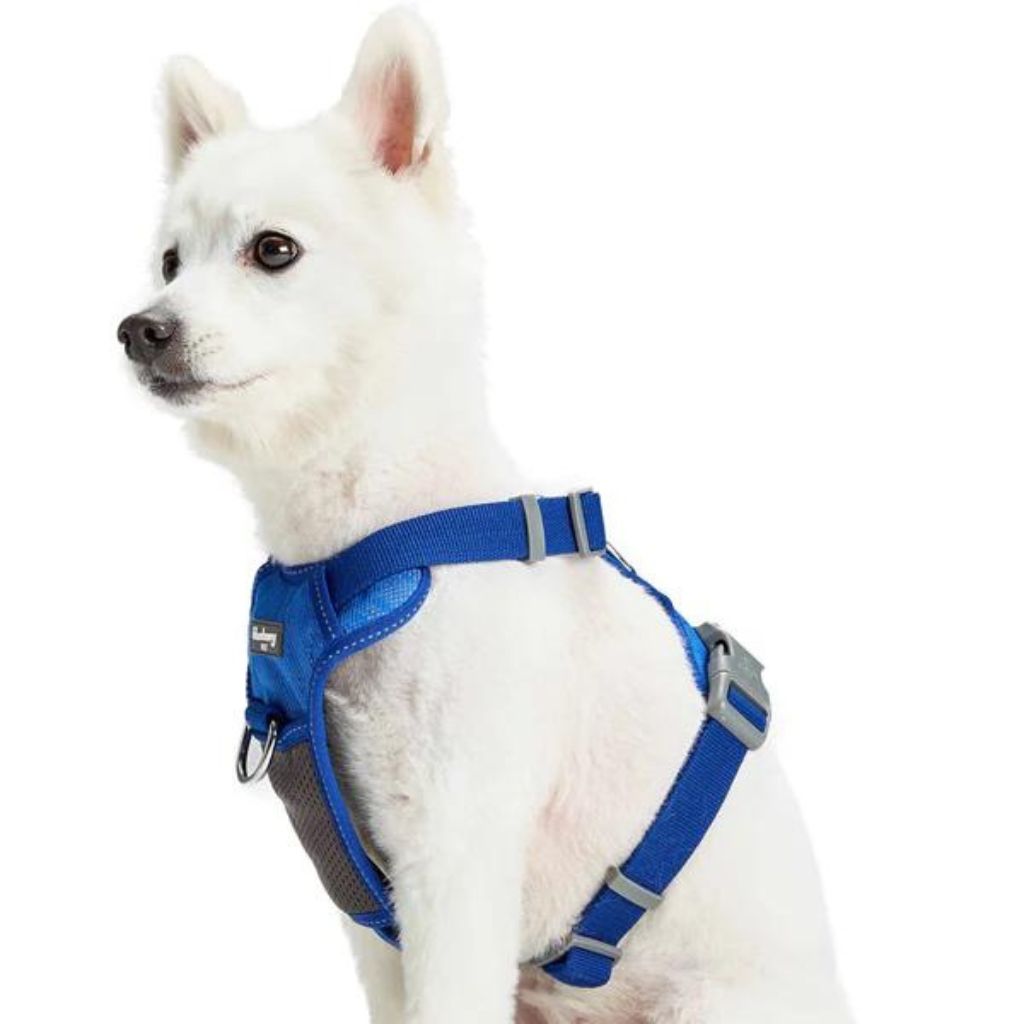 Dog Harness Vest Reflective Mesh Padded No Pull Blue