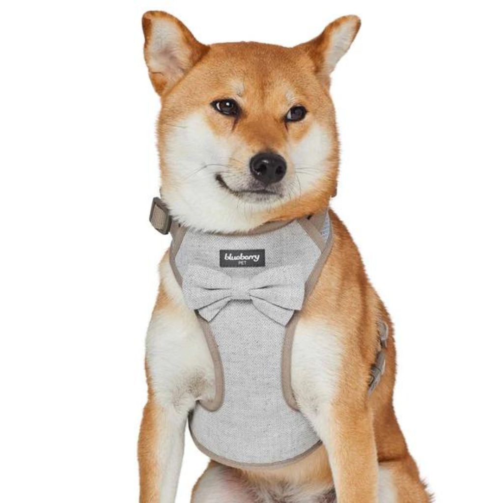 Blueberry Pet Dog Harness Vest