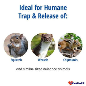 Havahart Small - One Door Live Animal Trap