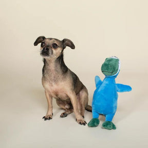 Petshop by Fringe Studio Rex Shark Dog Toy