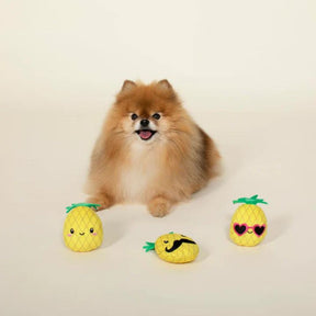 Petshop by Fringe Studio Pineapple Dog Toys