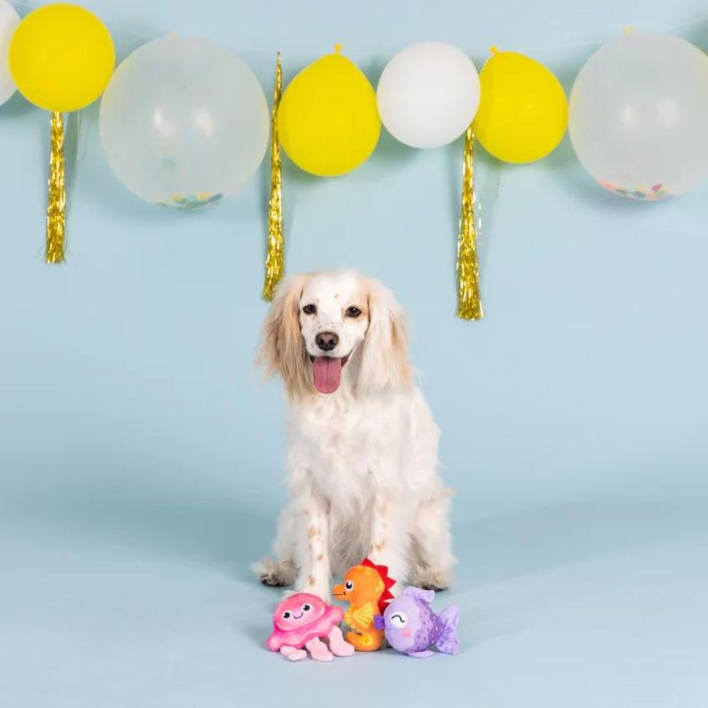 Petshop by Fringe Studio Waterful Life Doy Togs
