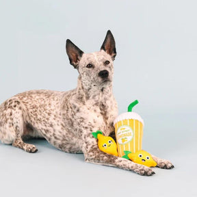 Petshop by Fringe Studio Pucker Up Lemonade Dog Toy