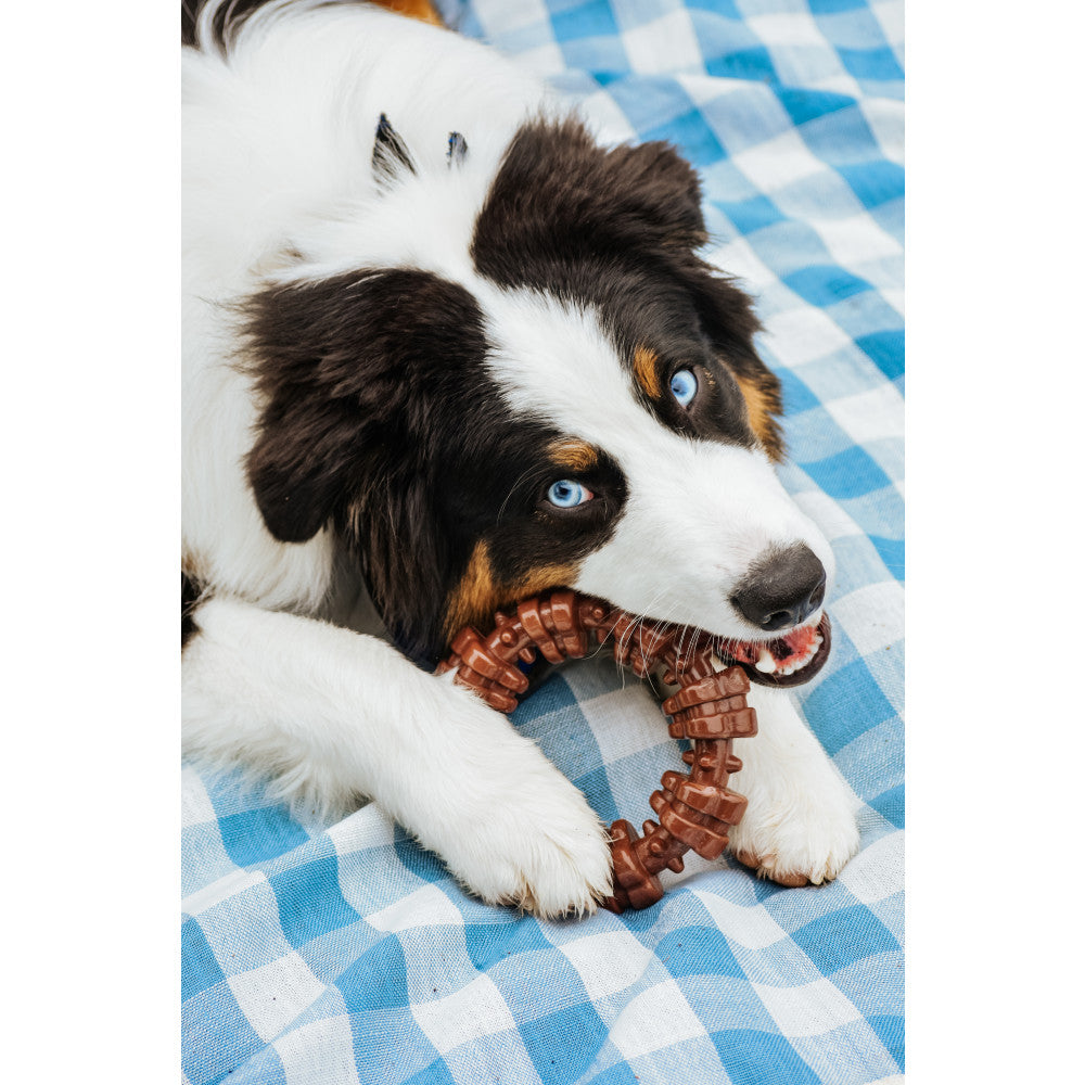 Nylabone - Dura Chew Textured Ring Chicken