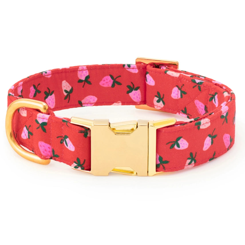 Dog Collar Berry Sweet