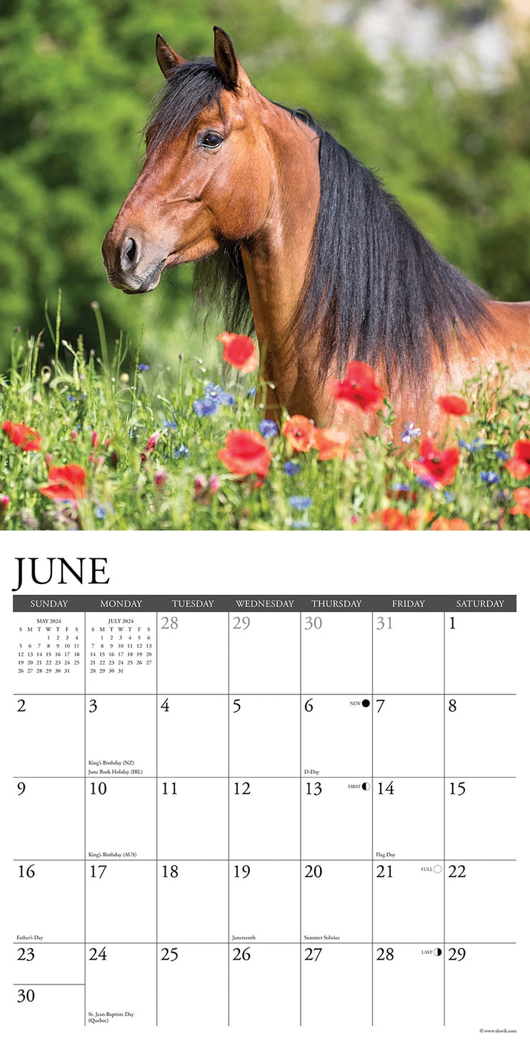 2024 American Quarter Horses Calendar