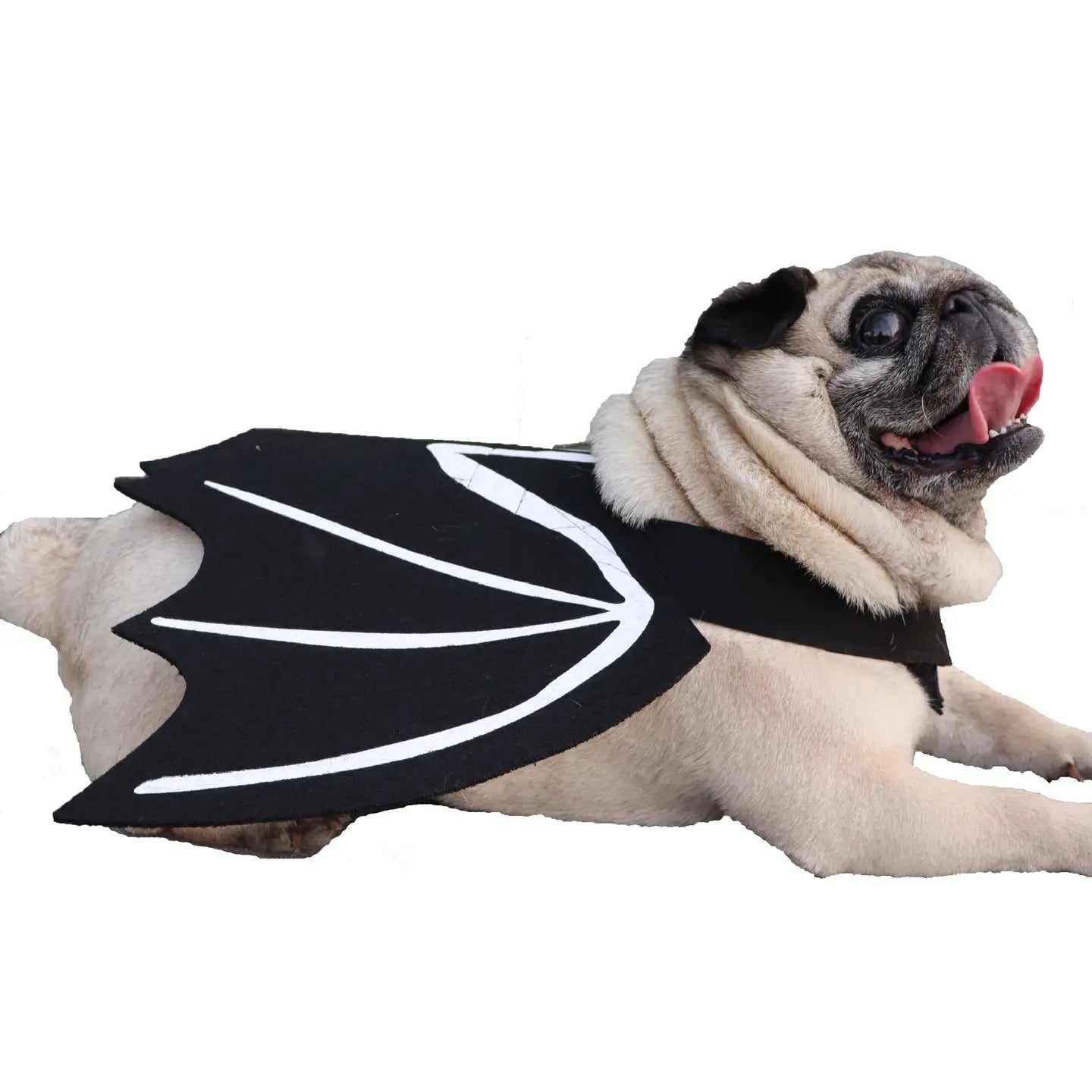 PawPaw Wholesale - Halloween Costume Bat Wings