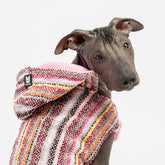 Silver Paw - Baja Dog Poncho - Pink