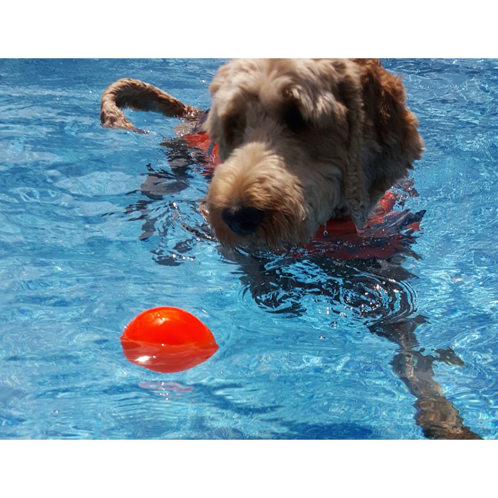 RuffDawg - Ball Solid Rubber Retrieving Toy