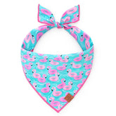 Bandana Dog Float-mingo