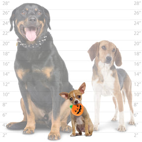 Tuffy Dog Toys - Mighty Ball Small Pumpkin Squeaky Dog Toy