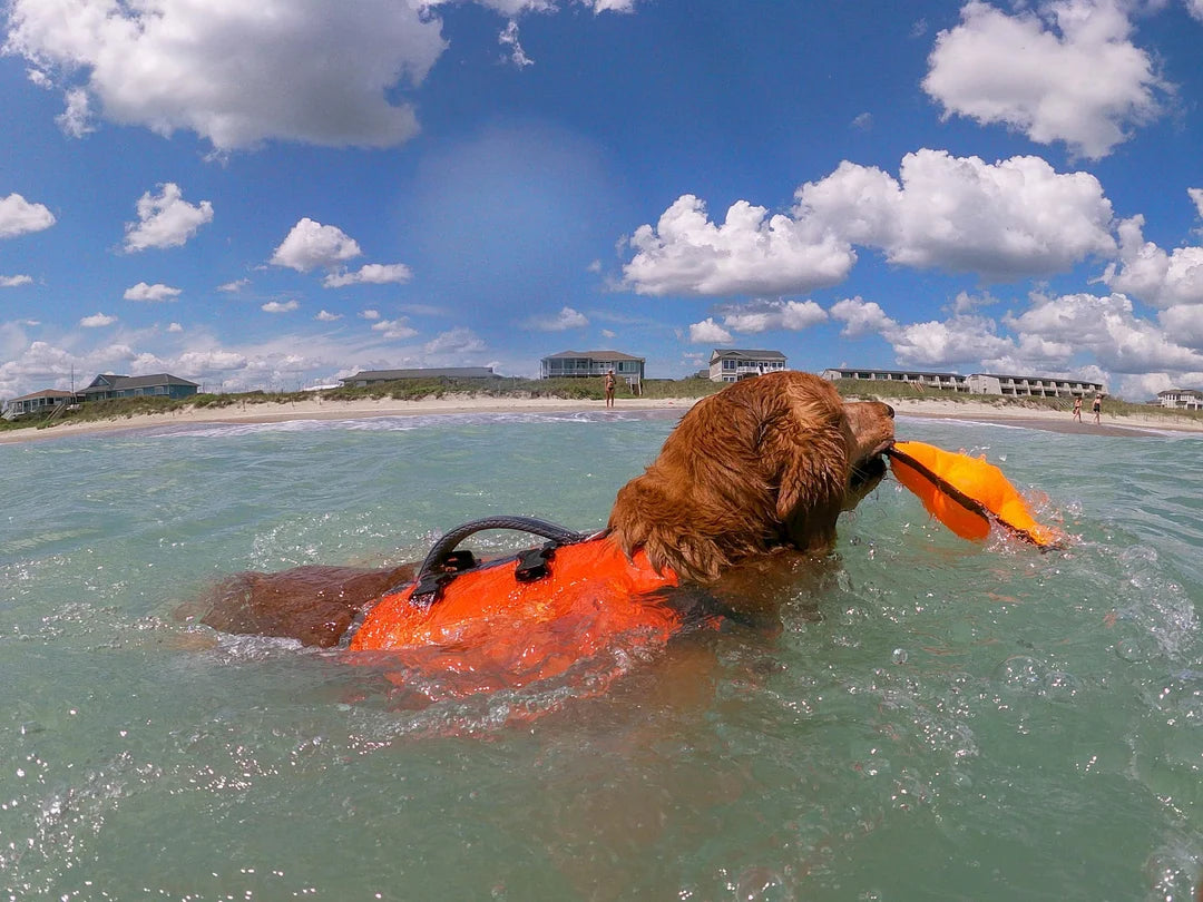Bark Brite - Backpack Life Jacket