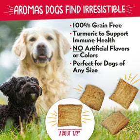 Central Pet Houston - Charlee Bear Nuggets Sunny Side Up