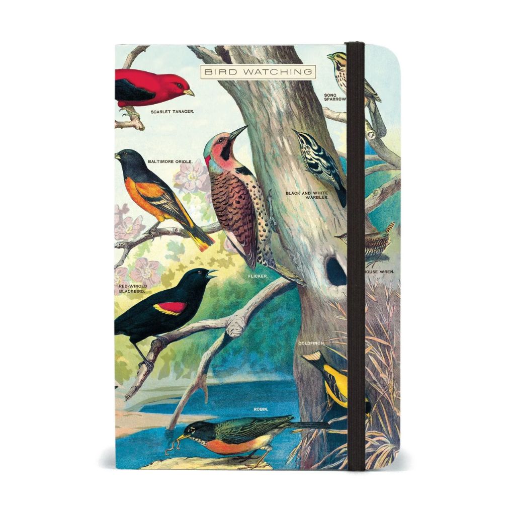 Cavallini Papers & Co - Journal Birdwatching