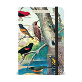 Cavallini Papers & Co - Journal Birdwatching
