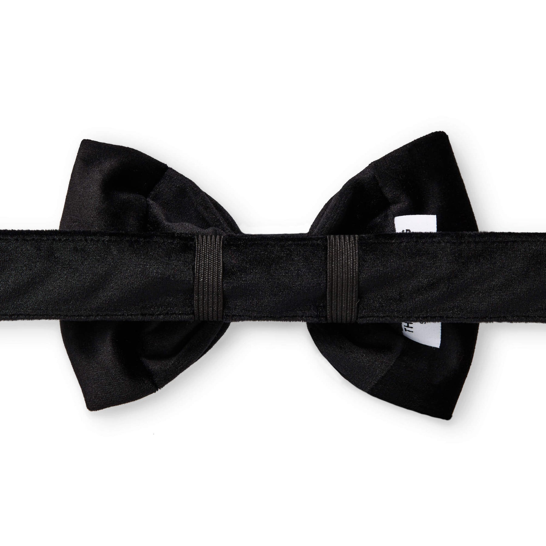 Dog Bow Tie Velvet