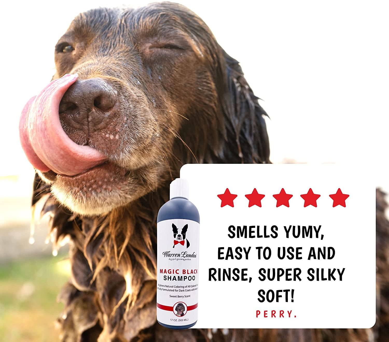 Warren London - Shampoo Magic Black Brightening for Dogs