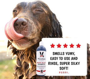 Warren London - Shampoo Magic Black Brightening for Dogs