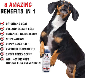 Warren London - Shampoo Magic Black Brightening for Dogs