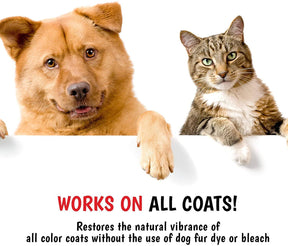 Warren London - Shampoo Magic Black Brightening for Dogs