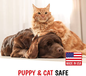 Warren London - Shampoo Magic Black Brightening for Dogs