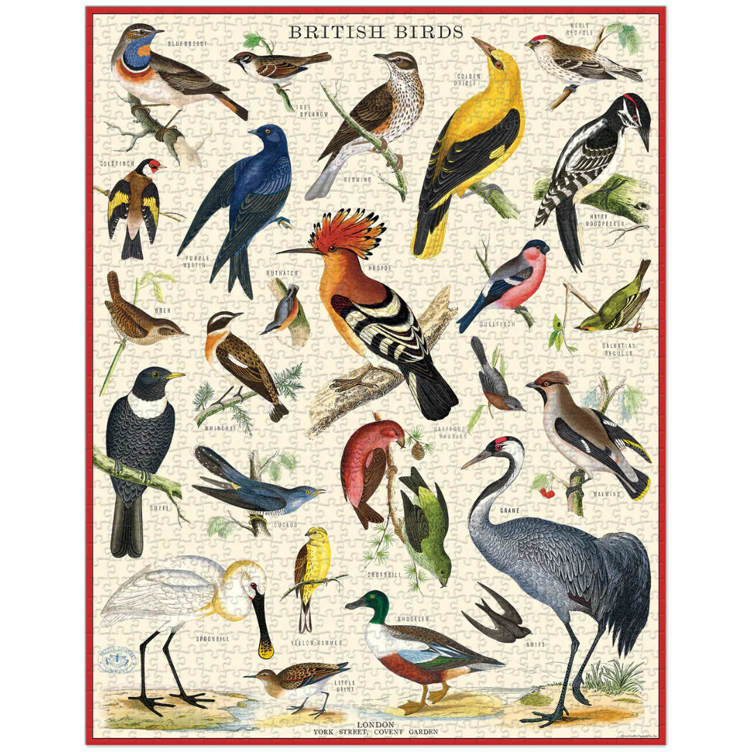 Cavallini & Co. - Puzzle British Birds