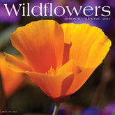 2024 Wildflowers Calendar