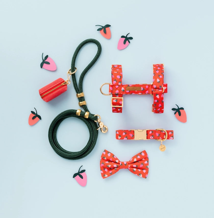 Dog Collar Berry Sweet