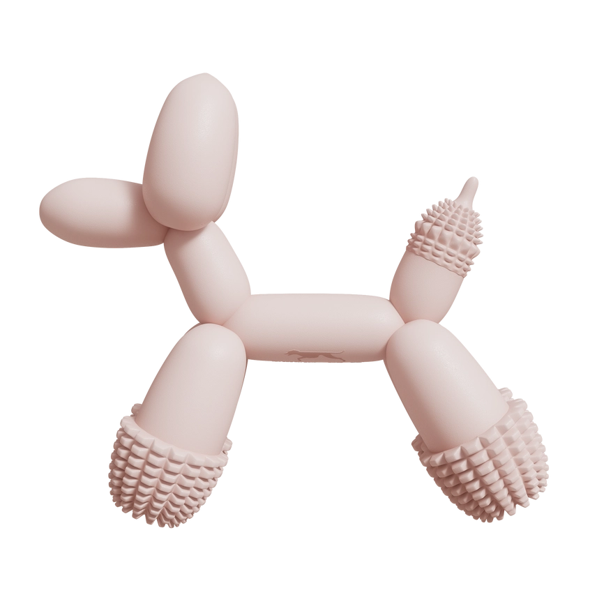 SANDDOG - Art Balloon Dog Toy