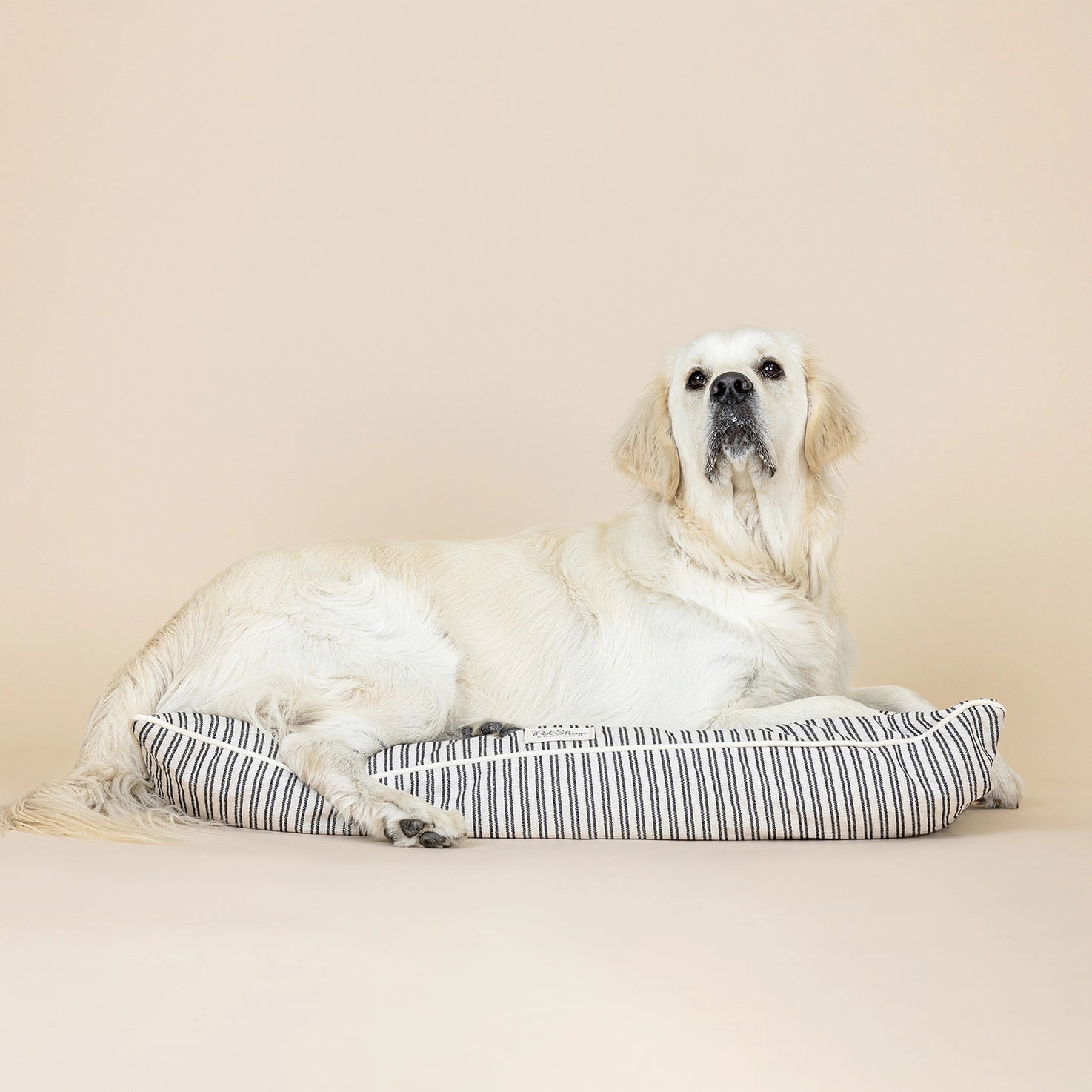 Petshop by Fringe Studio - Pet Bed Yarn Dye Stripe Pillow